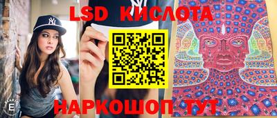 спиды Кинель