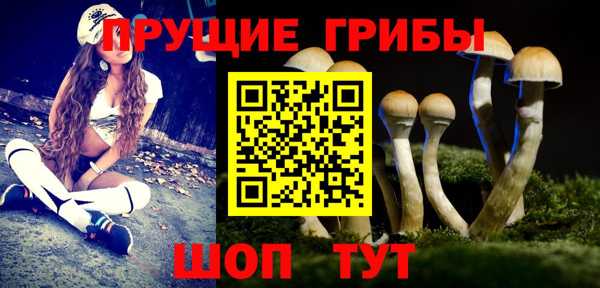 Галлюциногенные грибы ЛСД  Вход с VPN  Шали 